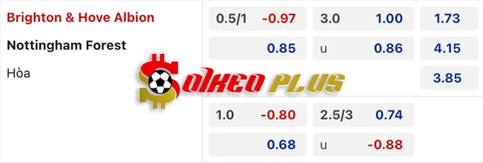 AI Soi Kèo: Brighton vs Nottingham, 21h ngày 10/03/2024