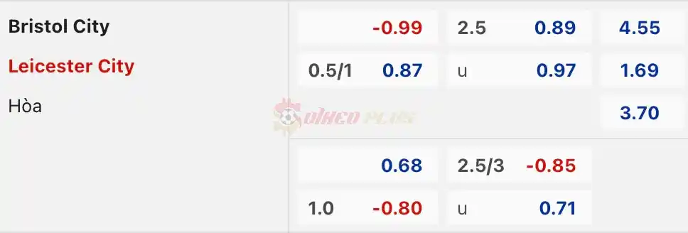 Soi Kèo Dự Đoán: Bristol City vs Leicester, 19h30 ngày 29/03/2024