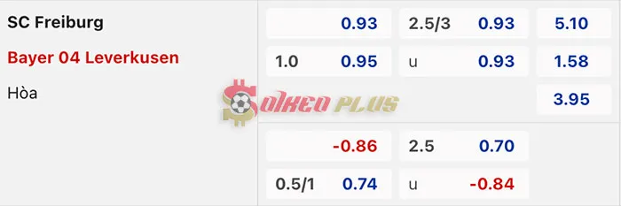 Soi Kèo Dự Đoán: Freiburg vs Leverkusen, 21h30 ngày 17/03/2024
