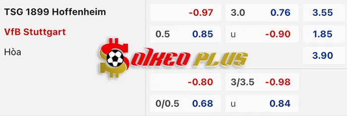 Soi Kèo Dự Đoán: Hoffenheim vs Stuttgart, 0h30 ngày 17/03/2024