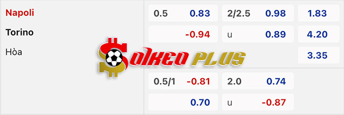 AI Soi Kèo: Napoli vs Torino, 2h45 ngày 09/03/2024