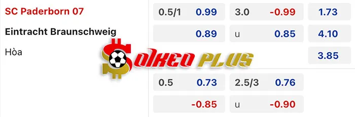 AI Soi Kèo: Paderborn vs Braunschweig, 0h30 ngày 16/03/2024