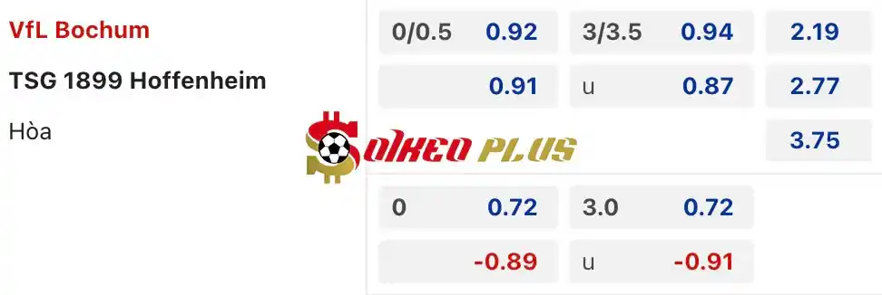 Soi Kèo Dự Đoán: Bochum vs Hoffenheim, 1h30 ngày 27/04/2024