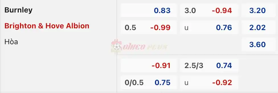 Soi Kèo Dự Đoán: Burnley vs Brighton, 21h ngày 13/04/2024