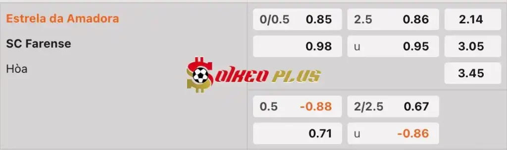 Soi Kèo Dự Đoán: Estrela da Amadora vs Farense, 2h15 ngày 30/04/2024
