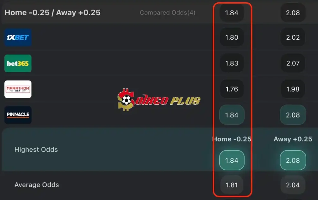 BET OF THE DAY: Leicester vs Southampton (23/04/2024)