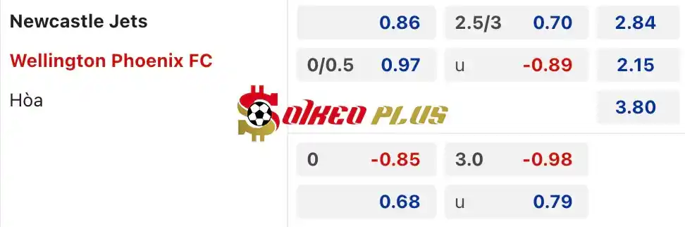 Soi Kèo Dự Đoán: Newcastle Jets vs Wellington Phoenix, 16h45 ngày 19/04/2024