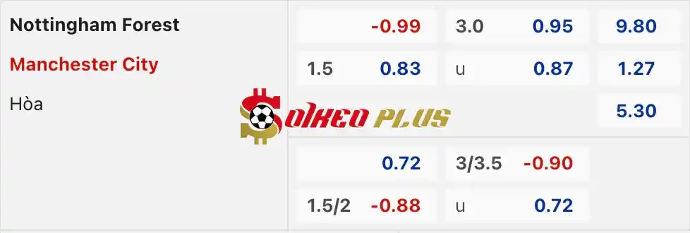 Soi Kèo Dự Đoán: Nottingham vs Man City, 22h30 ngày 28/04/2024