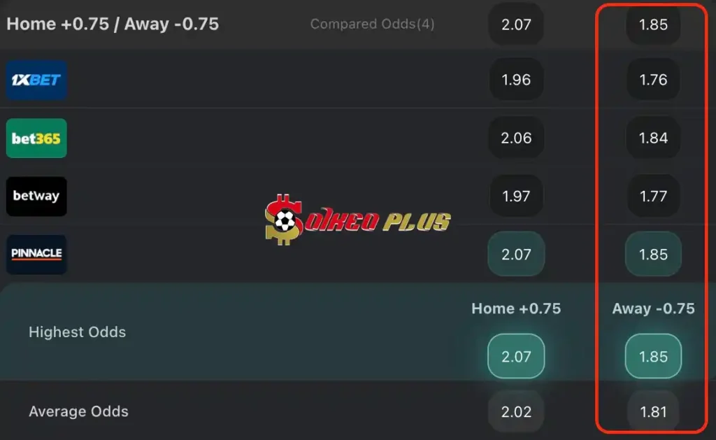 BET OF THE DAY: Preston vs Leicester (29/04/2024)