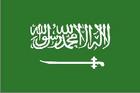 Saudi Arabia Logo