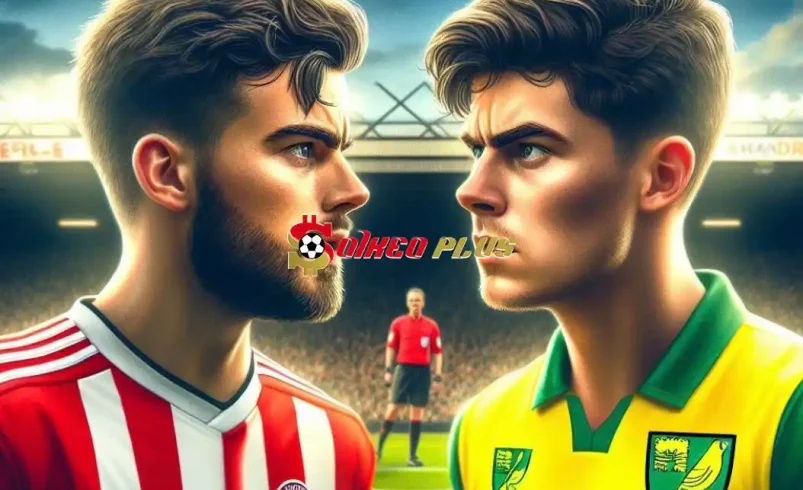 Soi Kèo Dự Đoán: Sheffield Wed vs Norwich, 1h45 ngày 10/04/2024