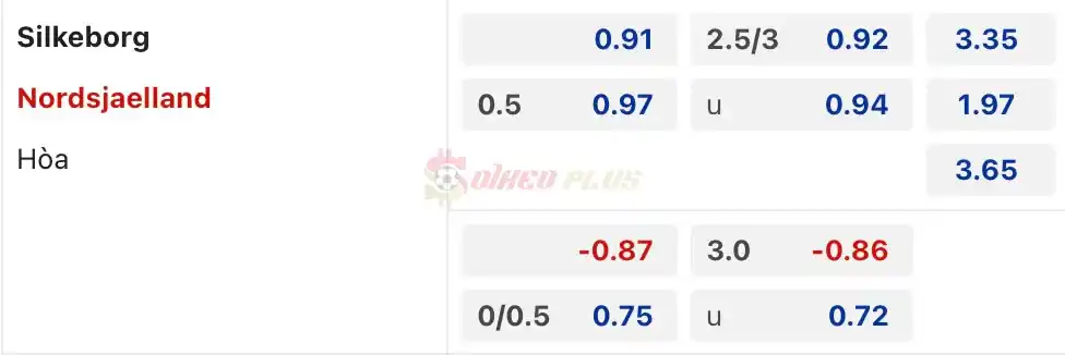 Soi Kèo Dự Đoán: Silkeborg vs Nordsjaelland, 0h ngày 16/04/2024