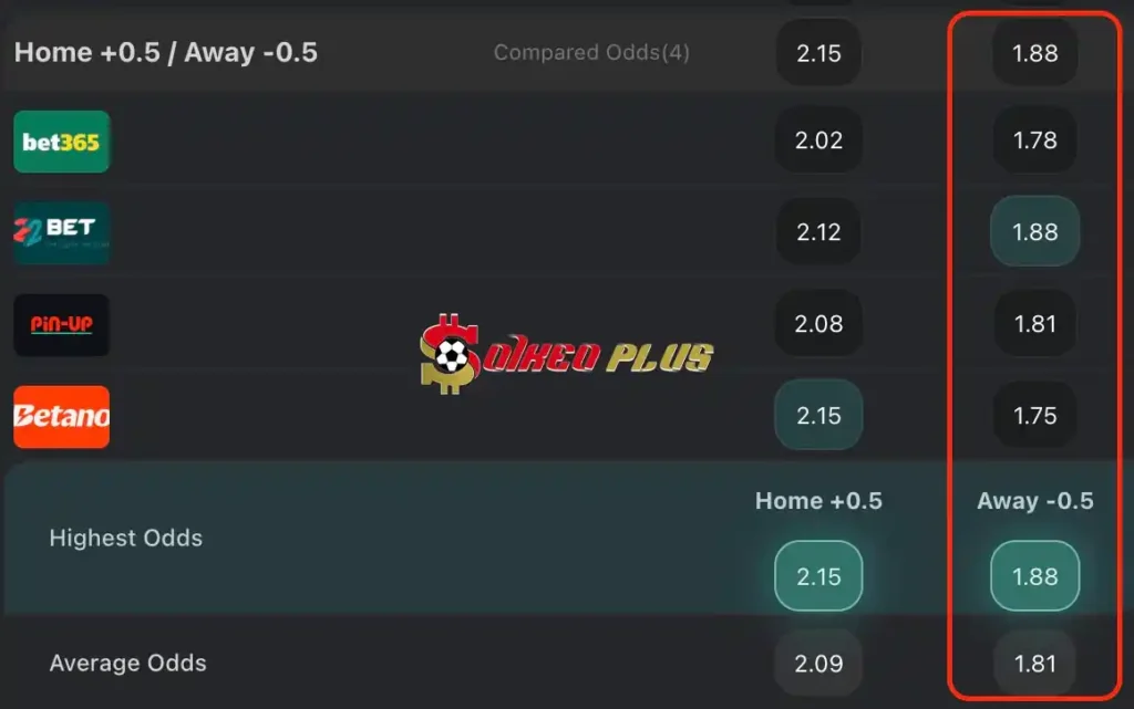 BET OF THE DAY: Antwerp vs Anderlecht (26/05/2024)