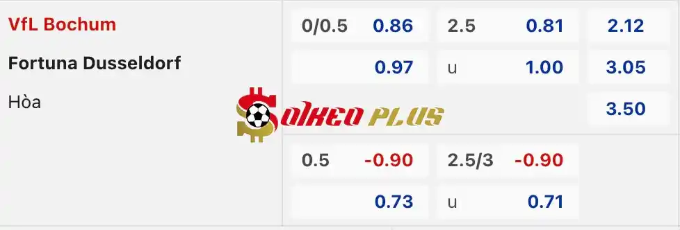 Soi Kèo Dự Đoán: Bochum vs Dusseldorf, 1h30 ngày 24/05/2024