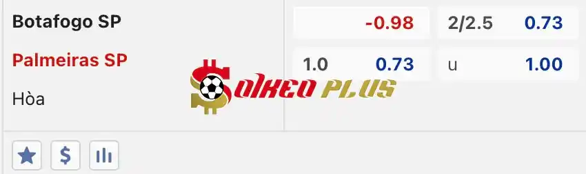 Soi Kèo Dự Đoán: Botafogo vs Palmeiras, 5h ngày 24/05/2024