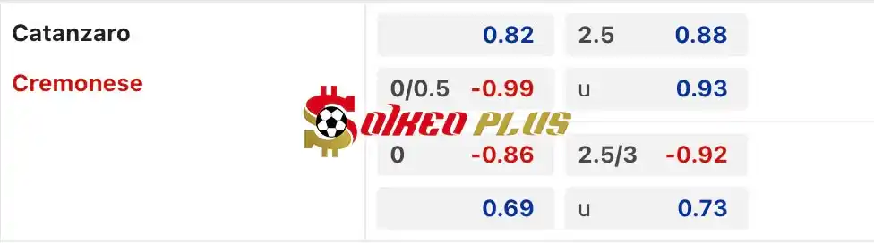 Soi Kèo Dự Đoán: Catanzaro vs Cremonese, 1h30 ngày 22/05/2024