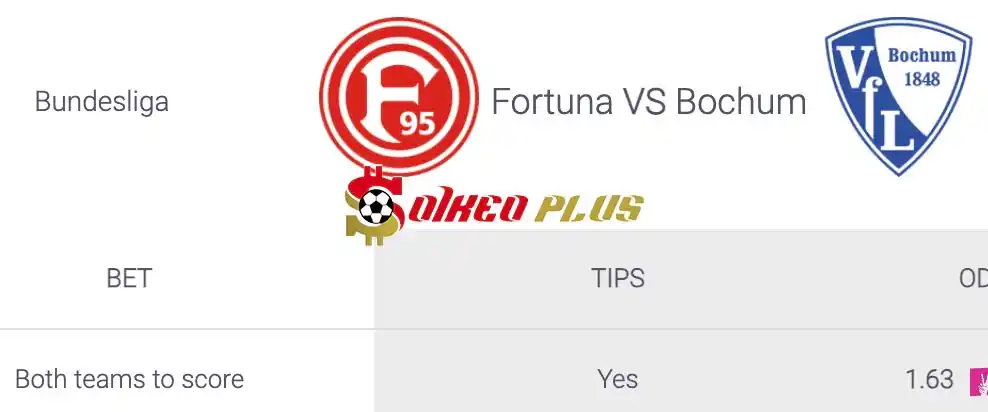 Soi Kèo Dự Đoán: Dusseldorf vs Bochum, 1h30 ngày 28/05/2024