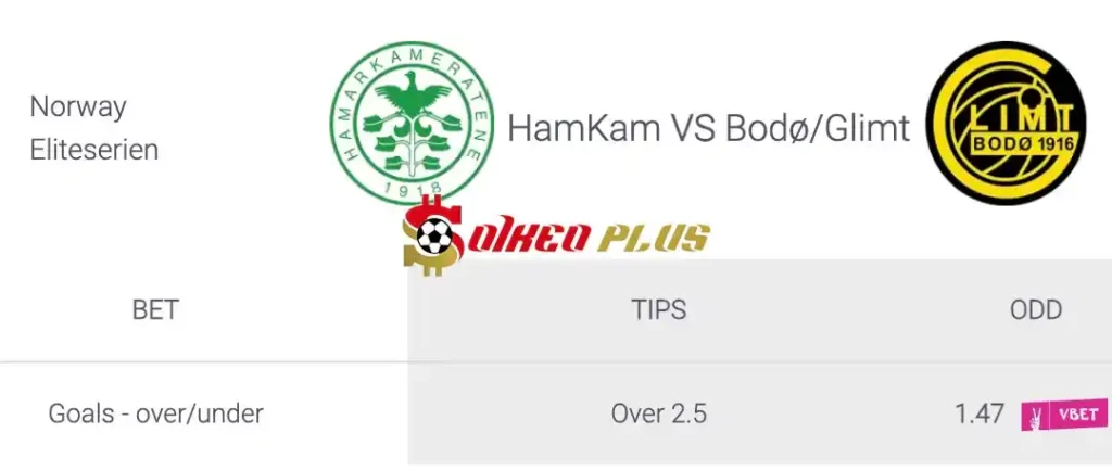 Soi Kèo Dự Đoán: HamKam vs Bodo Glimt, 22h ngày 20/05/2024