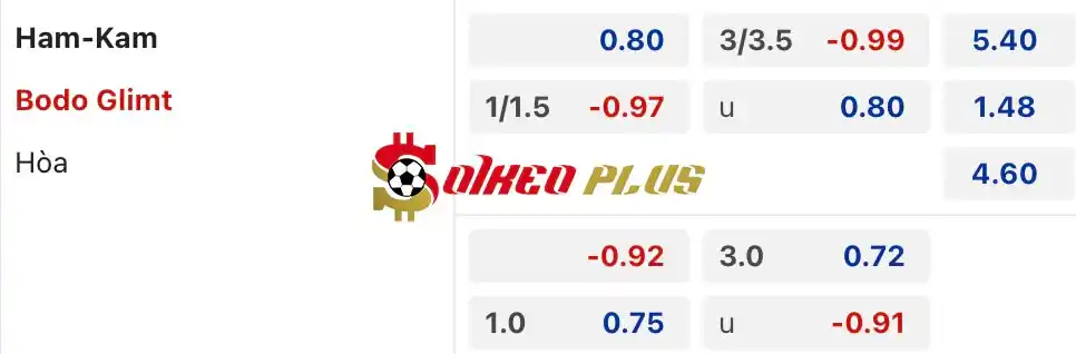 Soi Kèo Dự Đoán: HamKam vs Bodo Glimt, 22h ngày 20/05/2024
