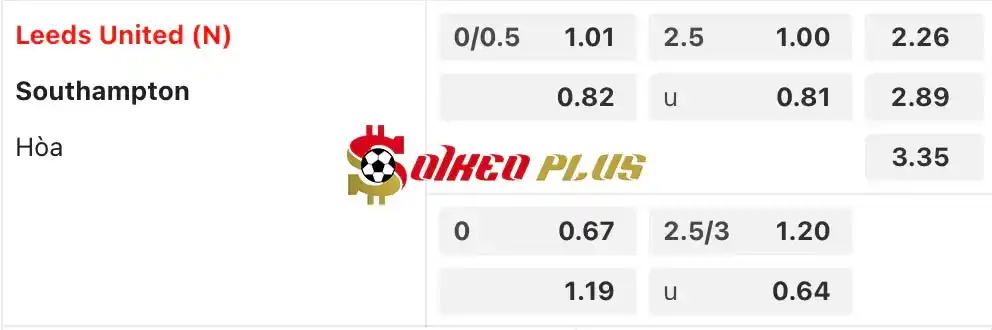 Soi Kèo Dự Đoán: Leeds vs Southampton, 21h ngày 26/05/2024
