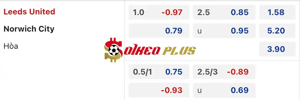 Soi Kèo Dự Đoán: Leeds vs Norwich, 2h ngày 17/05/2024