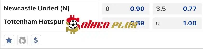 Soi Kèo Dự Đoán: Newcastle vs Tottenham, 16h45 ngày 22/05/2024