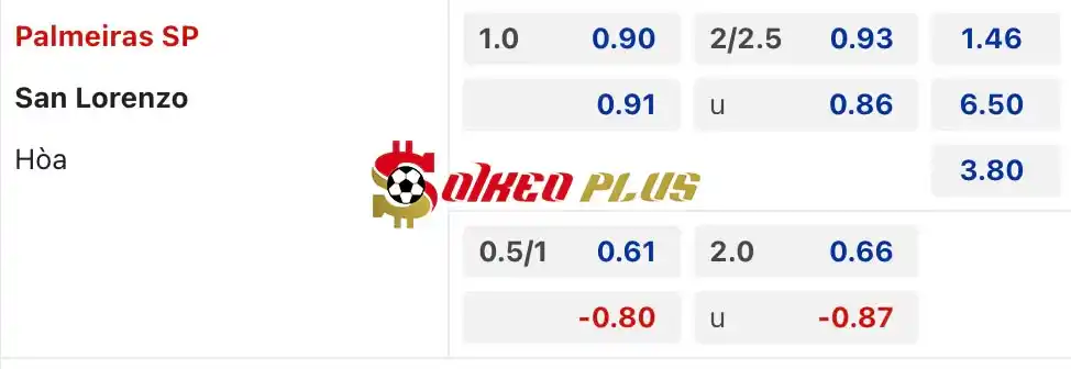 Soi Kèo Dự Đoán: Palmeiras vs San Lorenzo, 5h ngày 31/05/2024