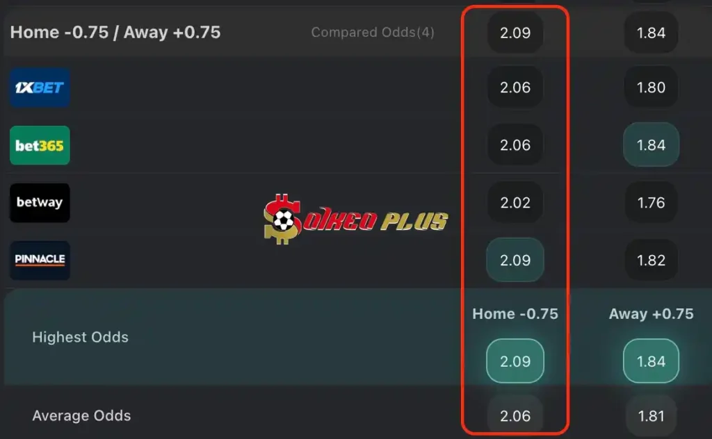 BET OF THE DAY: Southampton vs West Brom (17/05/2024)