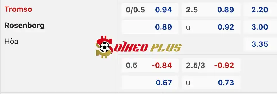 Soi Kèo Dự Đoán: Tromso vs Rosenborg, 0h15 ngày 21/05/2024