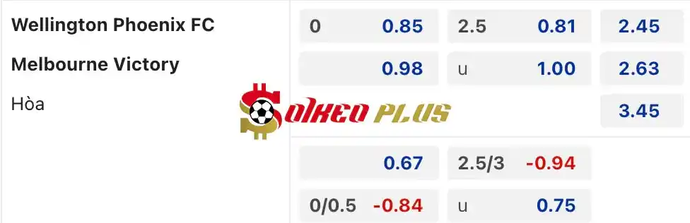 Soi Kèo Dự Đoán: Wellington Phoenix vs Melbourne Victory, 13h30 ngày 18/05/2024