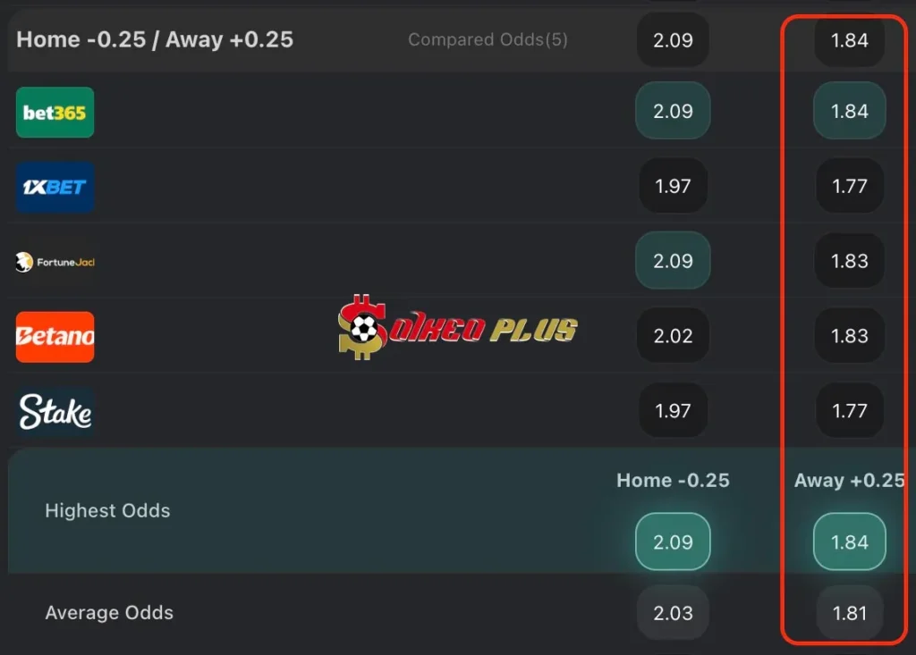 BET OF THE DAY: Fulham vs Brighton (05/12/2024)