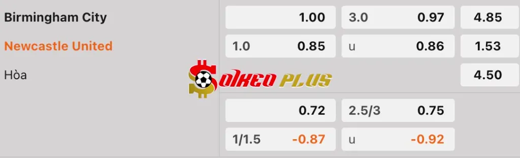 Soi Kèo Dự Đoán: Birmingham vs Newcastle, 0h45 ngày 9/2/2025