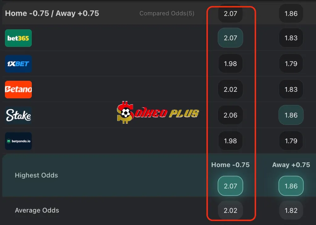 BET OF THE DAY: Brighton vs Nottingham (29/03/2025)