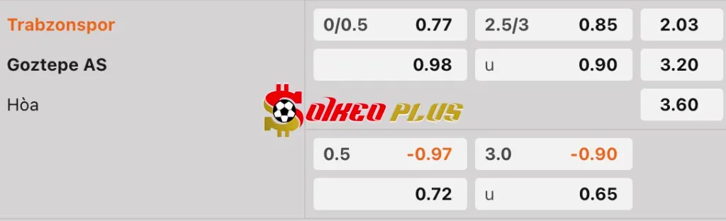 Soi Kèo Dự Đoán: Trabzonspor vs Goztepe, 0h30 ngày 25/04/2025