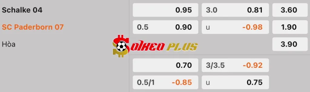 Soi Kèo Dự Đoán: Schalke vs Paderborn, 23h30 ngày 02/05/2025
