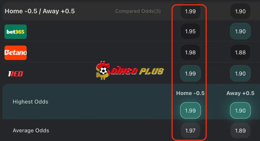 BET OF THE DAY: Estoril vs Estrela (11/08/2025)