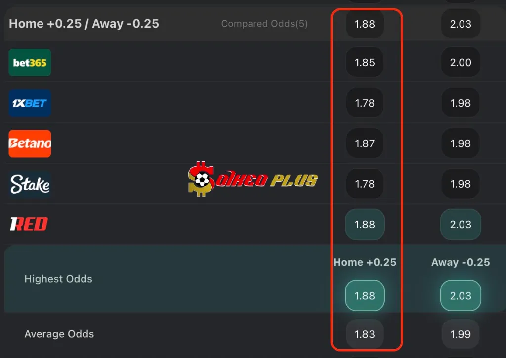 Lật Tẩy Nhà Cái: Leverkusen vs Newcastle (10/12/2025)