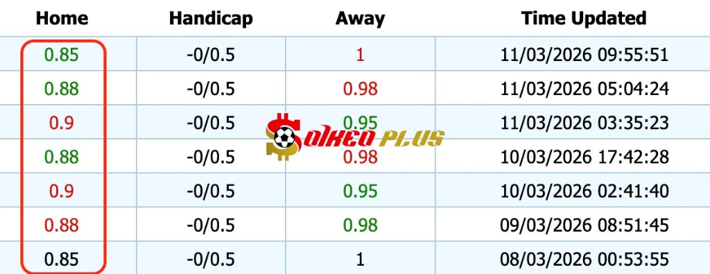 Giải Mã Trận Cầu Vàng: AFC Wimbledon vs Blackpool (11/03/2026)